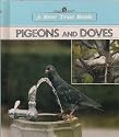 Pigeons and Doves (New True Book)