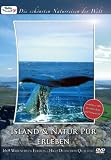 Island & Natur pur erleben