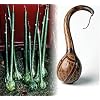 Large Fruited Dipper Gourd 10 Seeds - Craft Project!