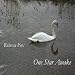 One Star Awake