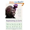 Replenishing the Earth: Spiritual Values for Healing Ourselves and the World
