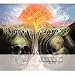 In Search of the Lost Chord (Deluxe Edition)