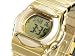 CASIO Baby-G �J�V�I �r���v G-ms �O�����A�X�S�[���h MSG160DG-9