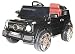 Brunte Black Rideon Smart Jeep with open door RS.8999.00