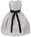 Dreamer Elegant Lace Rhinestones Belt Sash Easter Pageant Flower Girl Dress