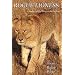 Rogue Lioness