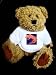 Teddy Bear with newt image t-shirt