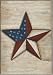 Toland American Star Art Flag