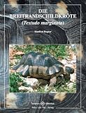 Produkt-Bild: Die Breitrandschildkr&ouml;te (Testudo marginata)