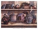 IMAGE OF Rhapsody in Rose Finest LAMINATED Print Michael Humphries 17x13