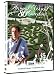 DVD : Around the World in 80 Gardens Vol.4