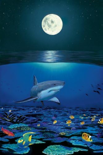 Wyland Shark Reef Fine Art Mini Print 8"X10" Mini Print