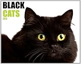 Black Cats 2012 Calendar