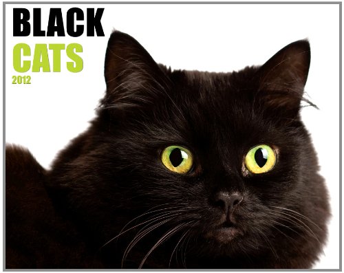 Black Cats 2012 Calendar