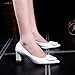 Sfnld Women's Retro Pointed Toe Metal Buckle Slip Ons Block Heel Pumps Shoes