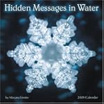 Hidden Messages in Water Calendar