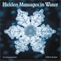 Hidden Messages in Water 2009 Wall Calendar