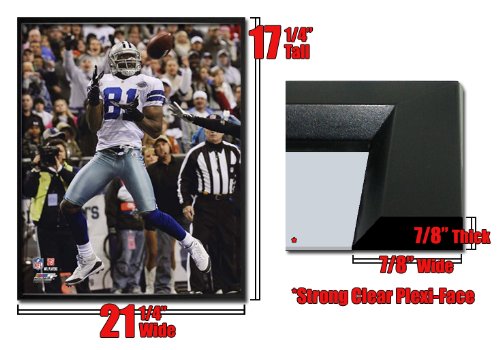 Framed Terrell Owens Dallas Cowboys Photo FrKs24908