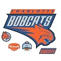 Charlotte Bobcats
