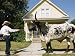 A Cowboy Uses a Harness to Lead His Bull Along a Suburban Sidewalk Photographic Poster Print by Joel