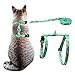 azuza Cat Harness and Leash for Walking Escape Proof, Cute Lemons in Bright Color, Soft Adjustable Harness for Cats