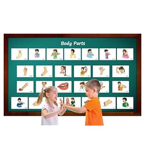 Body Parts German