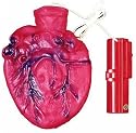 Beating Autopsy Heart Animated Halloween Prop