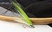 Fish Skull Medium Silver Baitfish