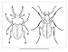 Incredible Insects Color Bk