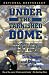 Book Under The Tarnished Dome: How Notre Dame Betrayd Ideals For Football Glory