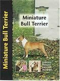 Miniature Bull Terrier