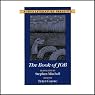 The Book of Job