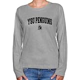 NCAA Youngstown State Penguins Ladies Ash Logo Arch Long Sleeve Classic Fit Tee-