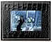 Parrot 3.5-Inch Digital Photo Frame (Red)