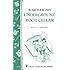 Build Your Own underground Root Cellar