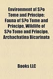 Environment of São Tomé and Príncipe: Fauna of São Tomé and Príncipe, Wildlife of São Tomé and Príncipe, Archachatina Bicarinata