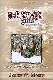 Christmas Gifts That Wont Break: An Advent Study for Adults