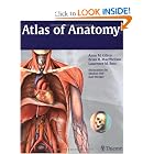 Atlas of Anatomy (Thieme Anatomy) by Anne Gilroy, Brian MacPherson, Lawrence Ross, and Michael Schuenke