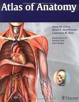 Atlas of Anatomy (Thieme Anatomy)