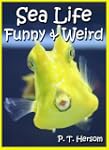 Sea Life Funny & Weird Marine Animals...