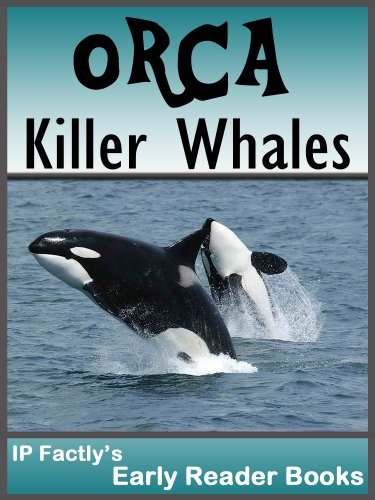 Orca - Killer Whales! Amazing facts, photos & video links to one of the world's most intelligent animals. Early Reader Books for Under 8's. (Amazing Animals Early Reader Books Book 1)