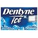 Dentyne Ice Peppermint Sugarless Chewing Gum, 12-Piece Packages (Pack of 24)