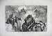 1876 Prince Wales Terai Nullah Jungle Elephants Nepaul