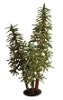 5' Pre-Lit Natural Alpine Artificial Christmas Tree Trio Set - Clear Lights