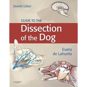 Click here to buy Guide to the Dissection of the Dog by Howard E. Evans PhD and Alexander de Lahunta DVM PhD.