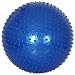 Random Assortment of 10 Colored Nodule Exercise Pump Included with Each Ball 65cm Nodule Exercise Ball
