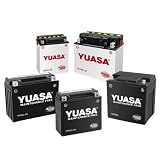 Yuasa YTX14-BS Maintenance Free VRLA Battery for 1996-2008 Buell Models by Yuasa