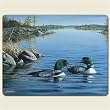 Placemats ~ Loons on Lake ~ set of 4 hard corkboard placemats ~ code 561d
