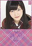 クリアファイル付 (卓上)AKB48 谷口めぐ カレンダー 2015年