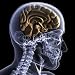 Wallmonkeys Peel and Stick Wall Decals - Skeleton X-ray - Half a Mind - Removable Graphic